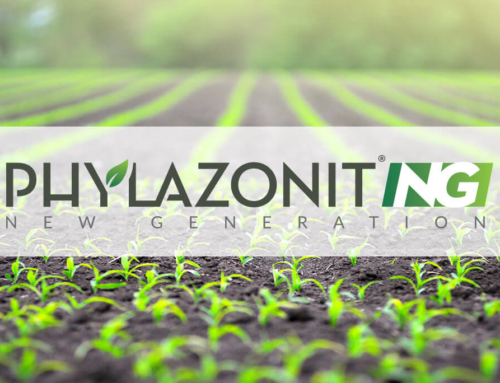 Tavaszra hangolva a Phylazonit új generációs termékeivel!